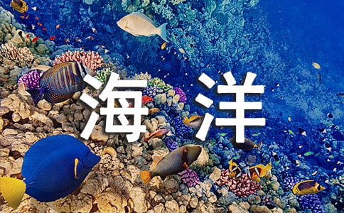 未来的海洋作文