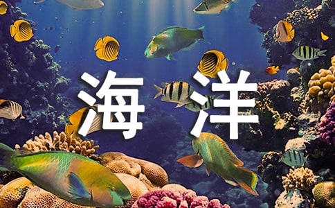 有关海洋动物的作文汇总四篇