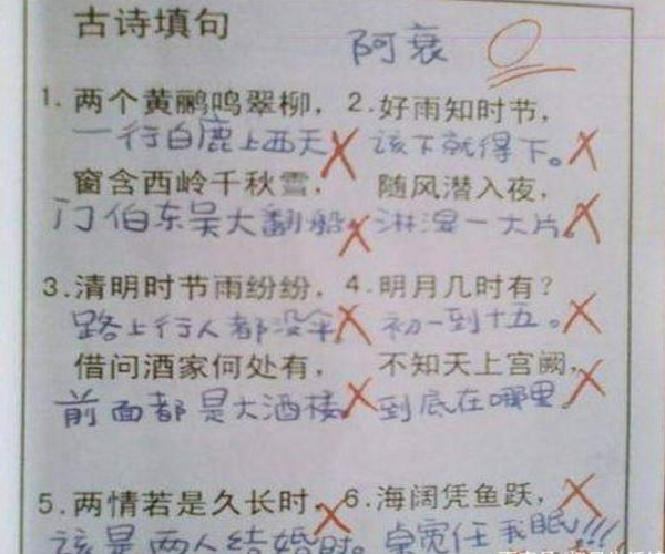 这诗句的对答简直神了