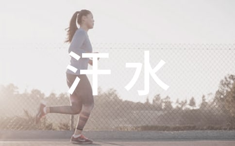 一次劳动,一滴汗水,一丝收获的作文