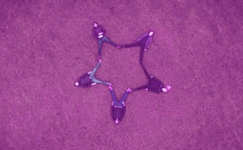 我的知心好友高一作文