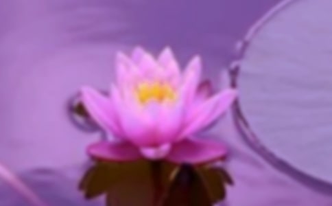 和谐家园新中国四年级作文