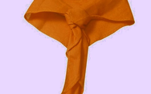 红领巾与疯婆小学作文