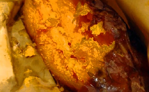 第一次挖红薯二年级作文