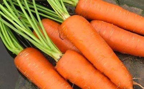 胡萝卜作文（精选30篇）