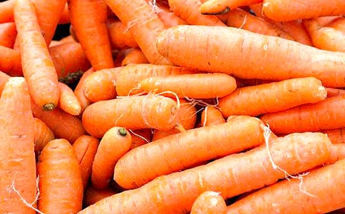 搭胡萝卜塔六年级作文