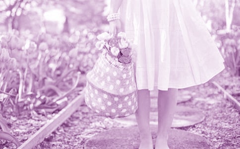 最幸福的玫瑰花童话作文