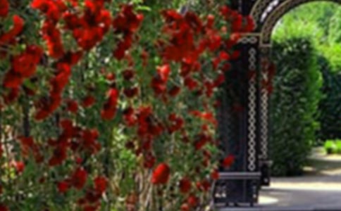 徐家汇花园初一作文