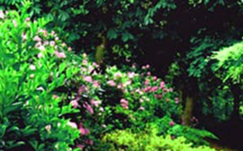 秋色花园四年级作文两篇