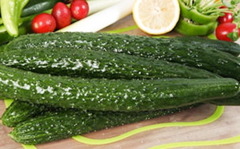 牵牛花和黄瓜作文