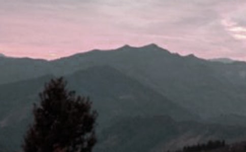 描写黄山的作文300字