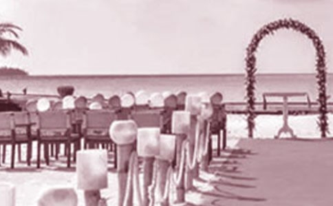 参加婚礼五年级作文