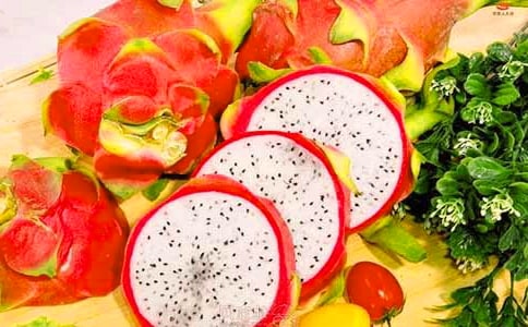 火龙果二年级作文