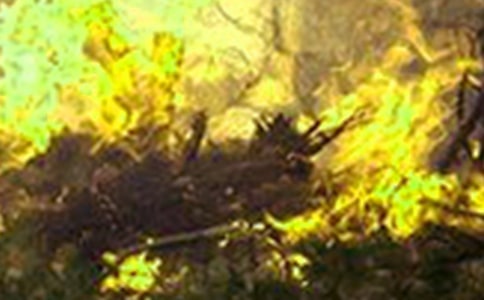 少一点火灾多一份美丽作文