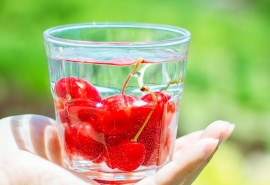 匍匐前进的仙人掌