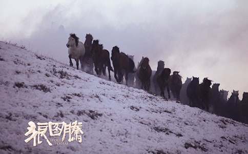 动物小说《狼图腾》读书感悟