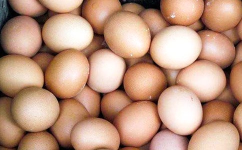 胖阿姨买鸡蛋小学三年级作文