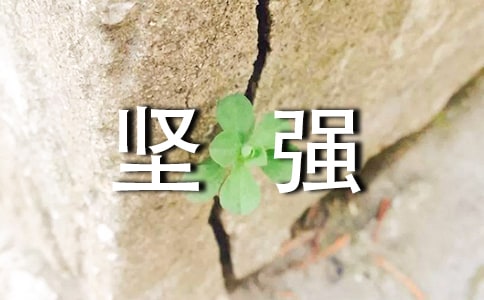 我选择了坚强小学抒情作文