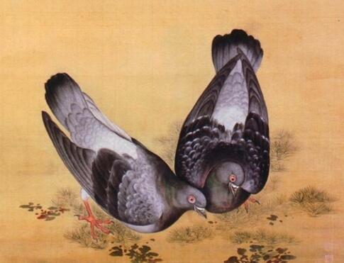 西山往事——土崖上的那对鹁鸽