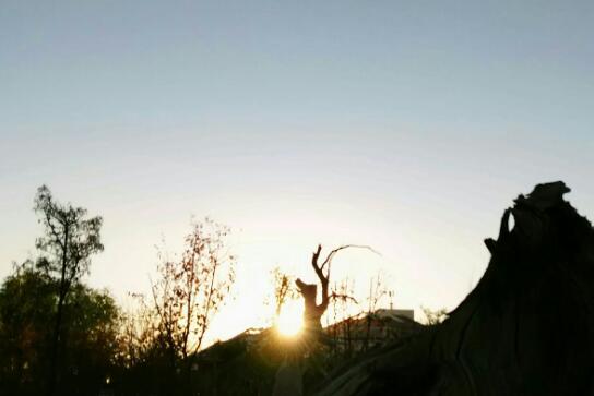 远方究竟有多远