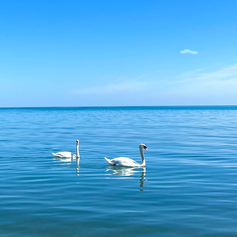 适合做微信头像的照片