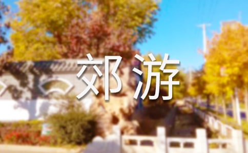 郊游小学生作文5篇