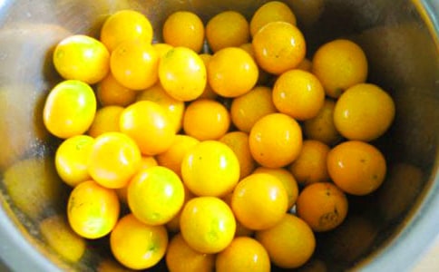 金桔树小学生作文