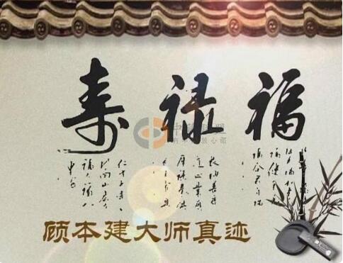 冬天里的桂花树