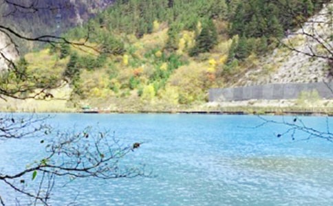 小学四年级作文:九寨沟