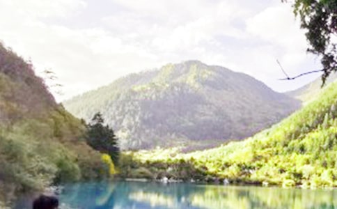 九寨沟四年级优秀作文