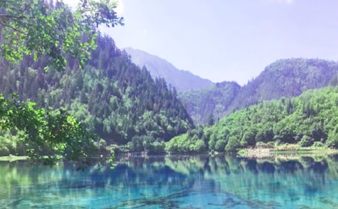 神奇的九寨沟四年级作文