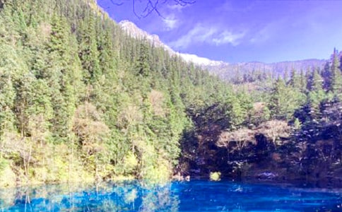 九寨沟之旅六年级作文