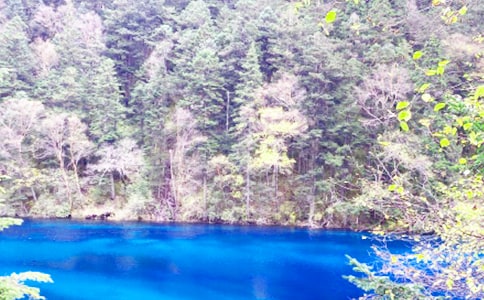 醉人九寨沟的作文