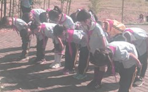 向你们的宠爱鞠躬初二作文