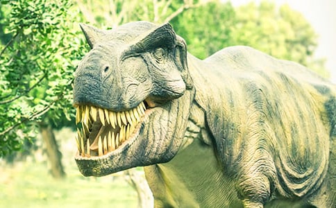 自贡恐龙灯会三年级作文