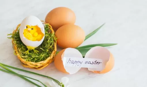 鸡蛋壳有什么用处 合理利用鸡蛋壳变废为宝