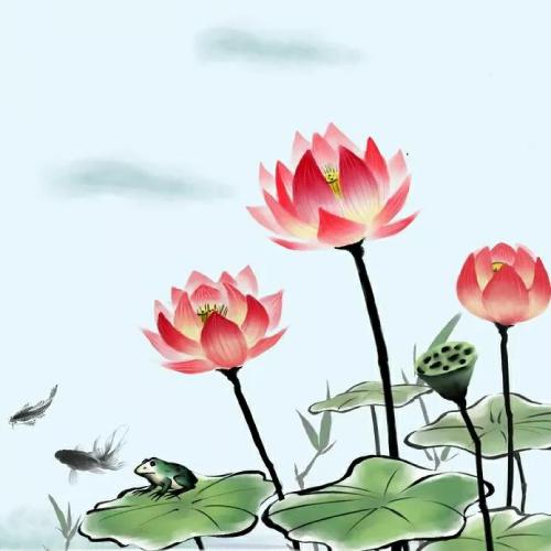 适合长期不换的头像，20张微信头像，各种风格，不重样