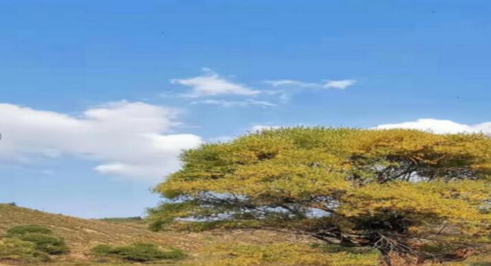 渐行渐远渐无书