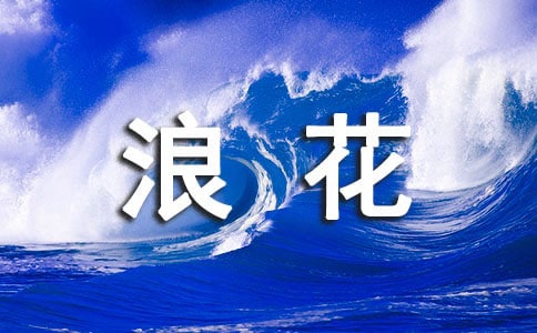 心海里的那朵浪花作文700字