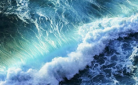 生活中的浪花高一作文