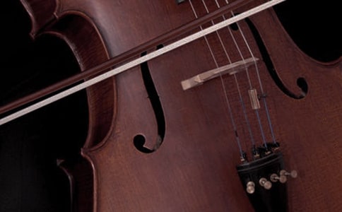 乐器物语六年级作文