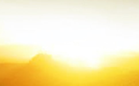 地球上的最后一个黎明小学作文300字