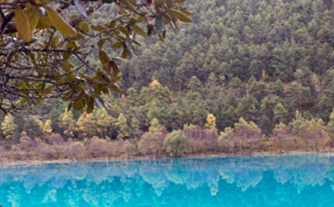 色的思绪之美丽江南作文