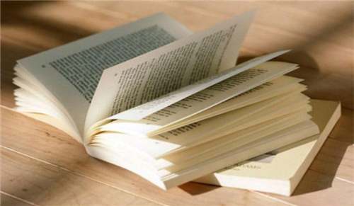 关于小说阅读的鉴赏指要