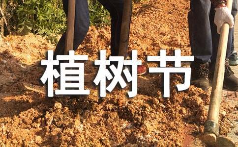 植树节宣传标语15篇