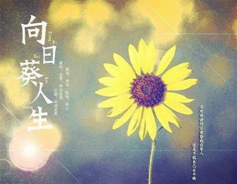 哲理说说大全人生感悟