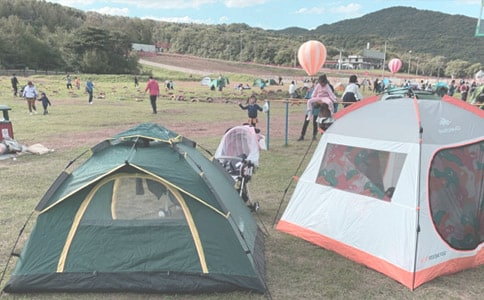 露营三年级作文