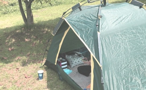 豹澥露营二年级作文