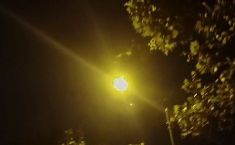 唯一的路灯初二作文