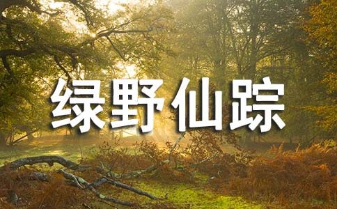 六年级读《绿野仙踪》有感作文